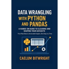(영문도서)Data Wrangling with Python and Pandas: A Hands-On Guide to Cleaning and Shaping... Paperback, Independently Published, English, 9798265692641
