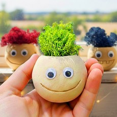 스칸디아모스 diy 키트 얼굴 점토 원예 만들기 노인 모스화분 중학생 어르신, 모스 점토 화분 만들기(P00000IN)