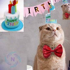 펫 생일초 머리띠 소 블루 고양이머리띠 반려견생일