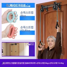 관절 어깨 어르신 운동기구 도르래 보조 상품 휠 노인 스트레칭 이중 링 문고정, 문걸이형 20lb+30lb 그립 링 포함, 1개