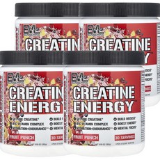 이브이엘루션 크레아틴 에너지 프루트 펀치 EVLution Nutrition Creatine Energy™ Fruit Punch 282g, 4개