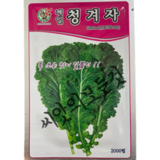 청겨자씨앗 2000립 톡쏘는 매운맛이 일품인 쌈겨자종자 오스템바이오, 1개