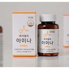 배석철의 아미나 고용량 비타민B3 미국산 나이아신아마이드 500mg, 1개, 100정