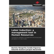 (영문도서) Labor Induction: a management tool in Human Resources Paperback, Our Knowledge Publishing, English, 9786207056514