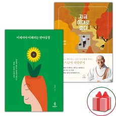 이제서야 이해되는 반야심경 + 지금 이대로 좋다 세트
