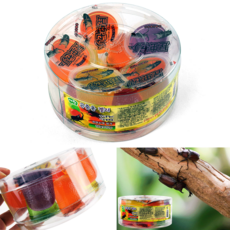 애완 곤충용 젤리 장수풍뎅이 사슴벌레 고단백 건강 간식 먹이 개별포장 10P