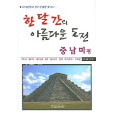 SunMedia 一個月的美麗挑戰 (中南美篇), 金鍾年 著