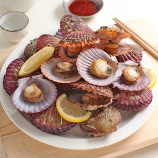 남해안 홍 가리비 4kg 매일 새벽 신선하게 가리비 선별 출고, 1개, 홍가리비 4kg