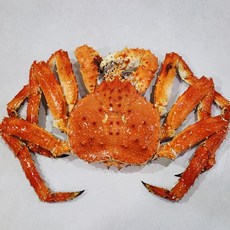 [담미로]러시아 냉장 자숙 블루 킹크랩, 1개, 블루킹크랩 원급3.5kg급, 1개