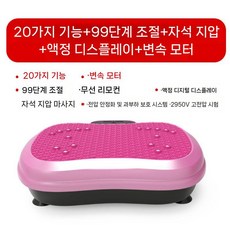 가정용 진동운동기 실내 전신운동 덜덜이 머신 자석마사지기 헬스기구, 택배, 20기능+99단기어+지압+모터-핑크