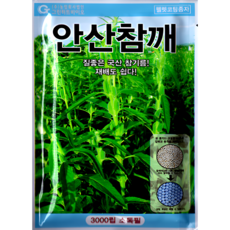 그린하트바이오 안산참깨 3000립 참깨 펠렛 코팅 채소 씨앗 종자 그린하트바이오, 1개