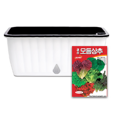 라운드오프 간단한 저면관수 텃밭화분 set, 텃밭화분+모듬상추