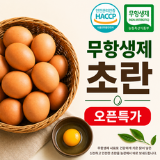 무항생제 계란 신선한 초란 30구 60구 오픈특가, 1개