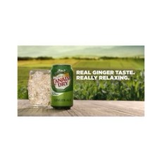 CANADA DRY 薑汁汽水 美國進口/ 清爽解渴 氣泡飲品, 1個