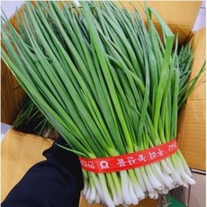 국내산 흙쪽파 1kg 내외 1단, 1개