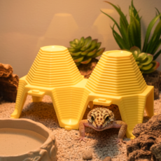 팔팔집 도마뱀 은신처, 노랑