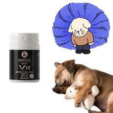 강아지 수면 진정제 신경안정 스트레스 치매약, 1개