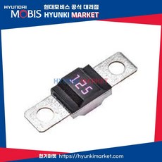 퓨즈125A양팔퓨즈 (1898005931), 1개