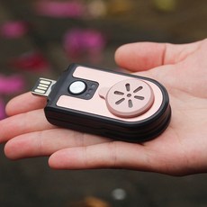 USB 車載電子熏香爐 攜帶式三擋調溫香道熏香爐 家用, 玫瑰金