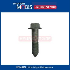 현대 기아 순정 볼트 17M/67mm 규격 546452E100 54645-2E100, 호환 차종, 10개