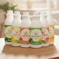 국산 카페 시럽 과일 농축액 베이스 1kg 모음 과육 함유 음료용 에이드 원액 대용량, 쉘몬 과일 농축액 베이스 배 1kg, 1