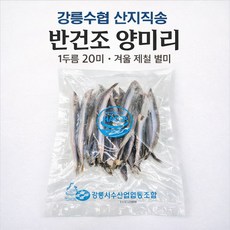 강릉수협 산지직송 반건조 양미리 겨울 제철 별미 1두름(20미), 1개, 1두음(20미)