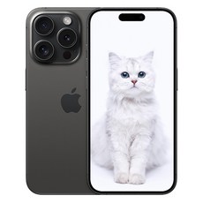 AIP 15 프로 새상품 미개봉, 256GB, 블랙 아이폰 15 Pro