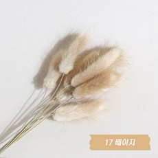 화연양화 프리저브드플라워 선별 라그라스 강아지풀 10개입, 17 베이지