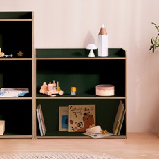 윌코 윌로우 조이 가로 800 높이 750 전면 2단책장 교구장, 딥그린+자작나무