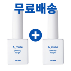 [더네일샵] 에이뮤즈 글리밍 탑젤 2개세트 에이미니 탑젤, 2개, 10ml