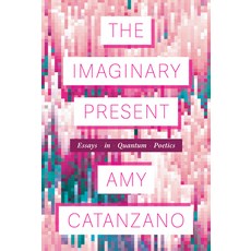 (영문도서) The Imaginary Present: Essays in Quantum Poetics Paperback, University of Michigan Press, English, 9780472039838