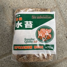 [다온야생화] N3395 수태 75g [랜덤], 1개
