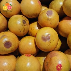 가정용 실속형 못난이 자몽 5kg, 단품, 단품