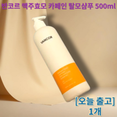 반코르 맥주효모 카페인 탈모샴푸 우드베이스 프레쉬향, 500ml, 1개