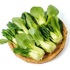 전라도청년 프레시 국내산 신선한 청경채, 1개, 1kg