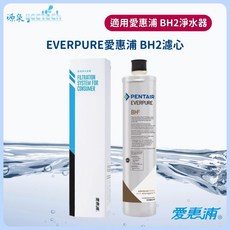 EVERPURE 愛惠浦 BH2 濾心 - 原廠公司貨 有雷標 有紙盒, 1個