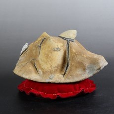 天磨店Gtk 68 1990年國姓鄉山採龜甲石, 1個