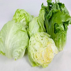 농부가 국내산 양상추 1.5kg / 3kg, 양상추 3kg 6입, 1개