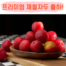 제철자두 햇수확 산지직송 최상급 자두, 1개, 1kg(대과)