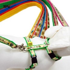 칼라 하네스 세트 색상랜덤 강아지산책줄 반려견산책줄 애견산책줄