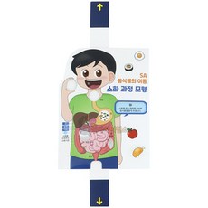 (SA) 음식물의 이동 소화 과정 모형(1인)