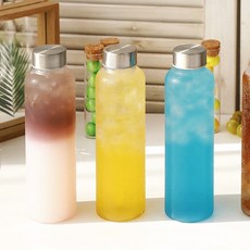 윙컴 데일리 물병 슬림500ml스텐캡 트라이탄 보틀, 눈금O, 1개