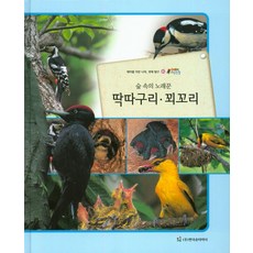 숲 속의 노래꾼딱따구리 꾀꼬리:테마별 자연 나라 생태 탐구, 한국슈타이너