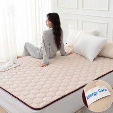 원적외선 차단 온열 세탁 타이머 기능 소재 카본 침구 가능 진드기 발열 극세사, SS 초코베이지