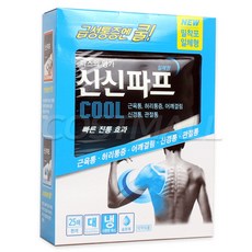 신신제약 신신파프 COOL, 25개입, 1개