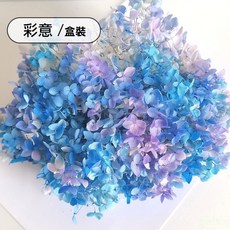 雨林薰舍 永生多彩繡球花材料盒裝 永生乾花 DIY裝飾 木繡球 永生不凋繡球 DIY花材, 彩意(盒裝)