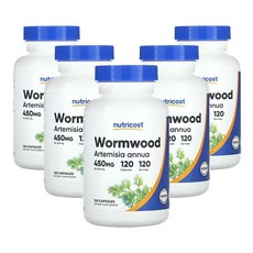 뉴트리코스트 약쑥 450mg 120캡슐, 120정, 5개