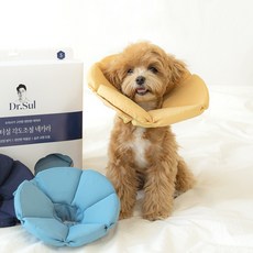 Dr.Sul 寵物防咬脖圍 M號, 黃色