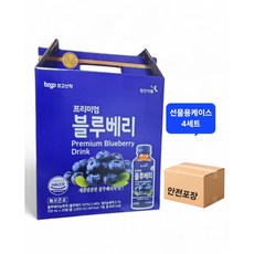 영진약품 프리미엄 블루베리 파손방지안전포장, 80개, 100ml
