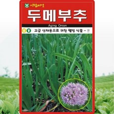 아람종묘 두메부추 씨앗 100립 연중재배 두메부추씨 산채 종자, 1개 1개